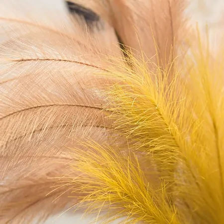 Unique Krasinskiego Street *